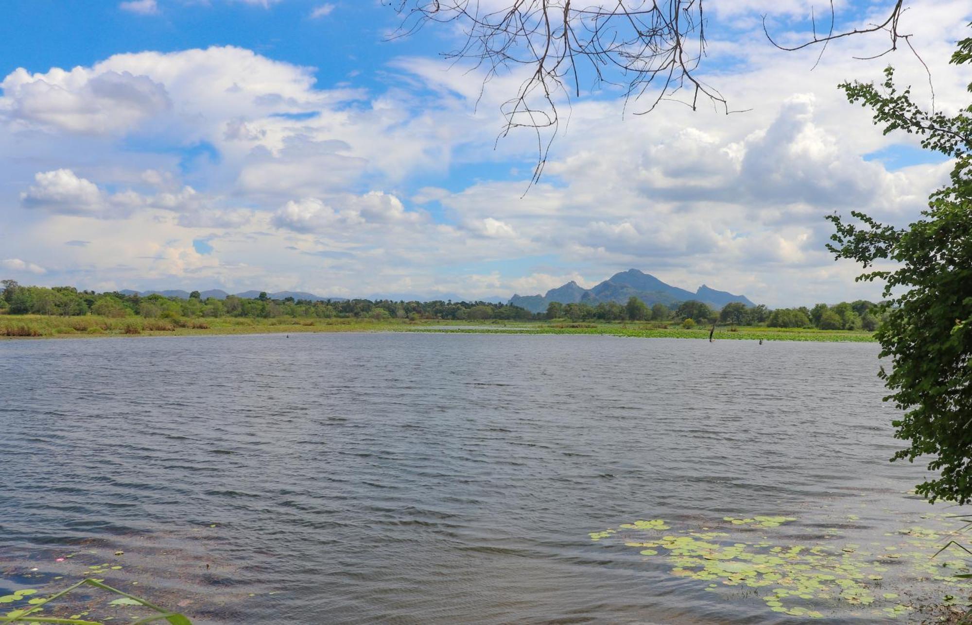 Bungalow Resort - Sigiriya Eksteriør bilde