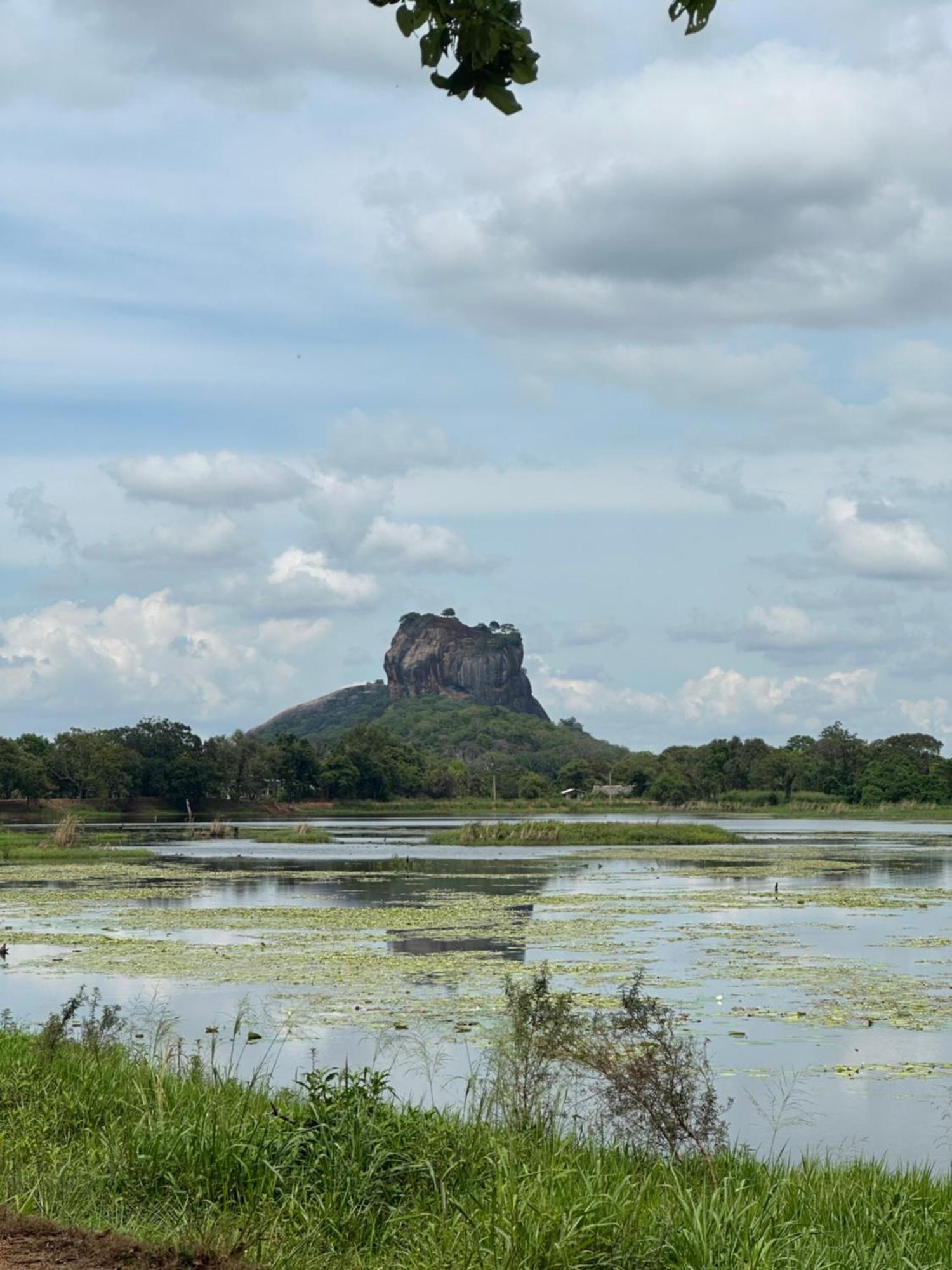 Bungalow Resort - Sigiriya Eksteriør bilde